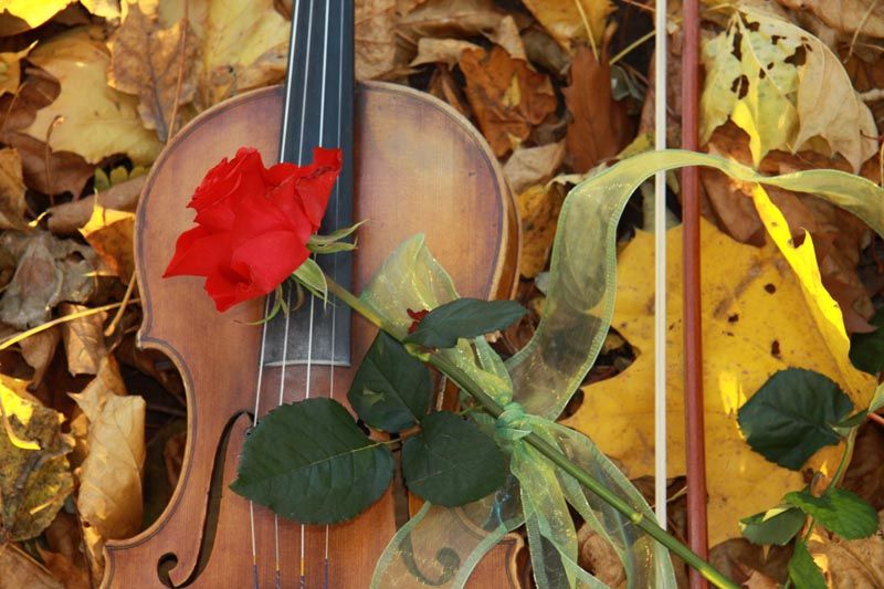 oprawa muzyczna na pogrzebie - skrzypce, śpiew, wiolonczela, harfa Kraków - Zdjęcie 1