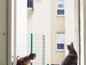 Siatka balkonowa, zabezpieczenie dla kota, siatki przeciw ptakom