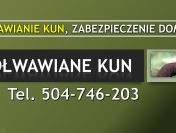 Odstraszanie kuny t. 504-746-203. Pastuchy elektryczne, montaż, cennik