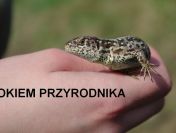 Ekspertyzy przyrodnicze - budowa domu, remonty elewacji, różne inwestycje.