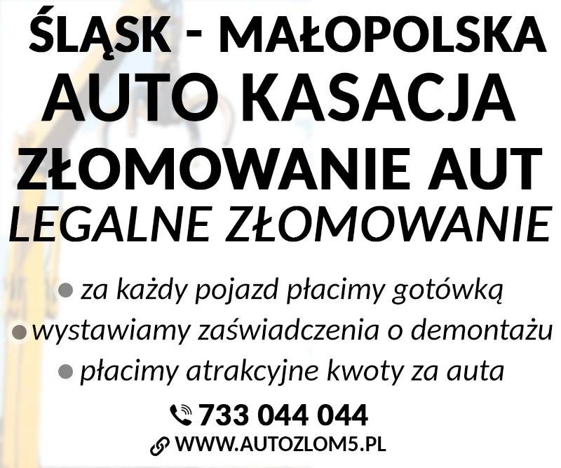 Złomowanie aut - profesjonalna obsługa i szybki odbiór! Małopolska i Śląskie Śląsk/Małopolska - Zdjęcie 1
