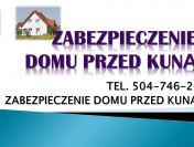 Kuna, pastuch elektryczny, tel. 504-746-203. Kuny, monta