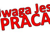 Praca w Holandii- pakowanie owoców i warzyw
