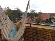 Mieszkanie Tarnów.Balkon,ciepłe,tani czynsz,cicha lokalizacja,parking