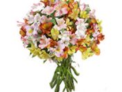 Biznesmen zaprzyjazni sie z samotna sexi kobieta z duzym temperamentem