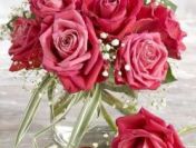 Dla mezatki spragnionej rozkoszy,przyjemnosci stale dyskretne spotkania