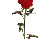 Dla mezatki spragnionej rozkoszy,przyjemnosci stale dyskretne spotkania