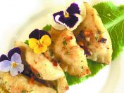 Nr 1 KRAKÓW_ opracuje dakumentacje HACCP