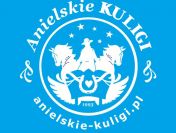 Kuligi dla firm i szkół w Wiśle – integracja z tradycją