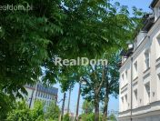 Kraków Kamienna dla. 2 studentów Idealne od zaraz do wynajęcia