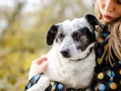 Alvin - całe życie za kratami BŁAGAMY o pomoc