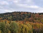 Działka Wojakowa bez pośredników – 68 arów rolno-inwestycyjna, 198.000zł.