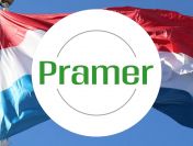 Spawacz konstrukcji (Rotterdam) - praca w Holandii