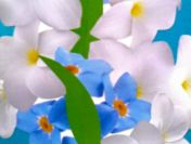 Poważna uczciwa osoba