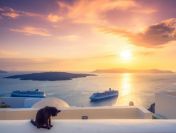 Wieczór przy drinku w ciepły letni wieczór przy blasku księżyca