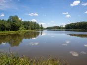 Poznam kobietę do  związku lub przyjazni