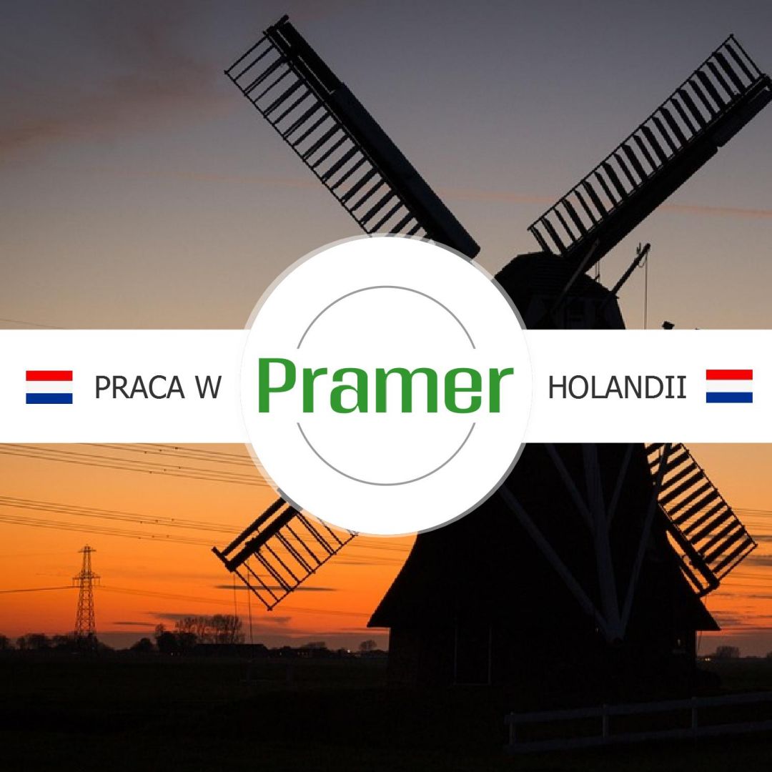 Operator maszyn - produkcja syntetycznej murawy - €20.09 - praca w Holandii  - Zdjęcie 1