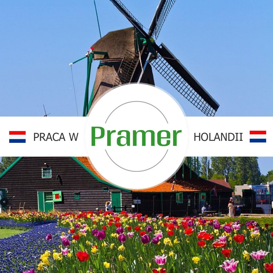 Pracownik sprzątania hali produkcyjnej - nocna zmiana - praca w Holandii  - Zdjęcie 1