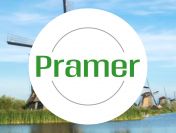 Pracownik produkcji zup i sosów - bez znajomości języka - praca w Holandii