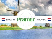 Pracownik przy zbiorze pieczarek - praca w Holandii