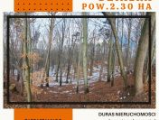 Łoniowa działka rolno-leśna 2,30 ha