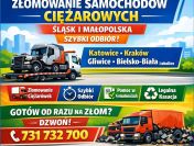 Kasacja, złomowanie ciężarówek. Odbiór we wskazanym miejscu.