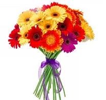 Nie badz samotna.szczescie,rozkosze,milosc,przyjaciel.partner biznes  - Zdjęcie 1