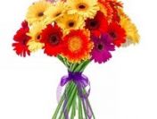 Nie badz samotna.szczescie,rozkosze,milosc,przyjaciel.partner biznes