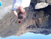 Służący Dla Panstwa