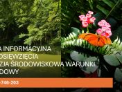 Karta informacyjna przedsięwzięcia dla budynku , tel. 504-746-203, cena