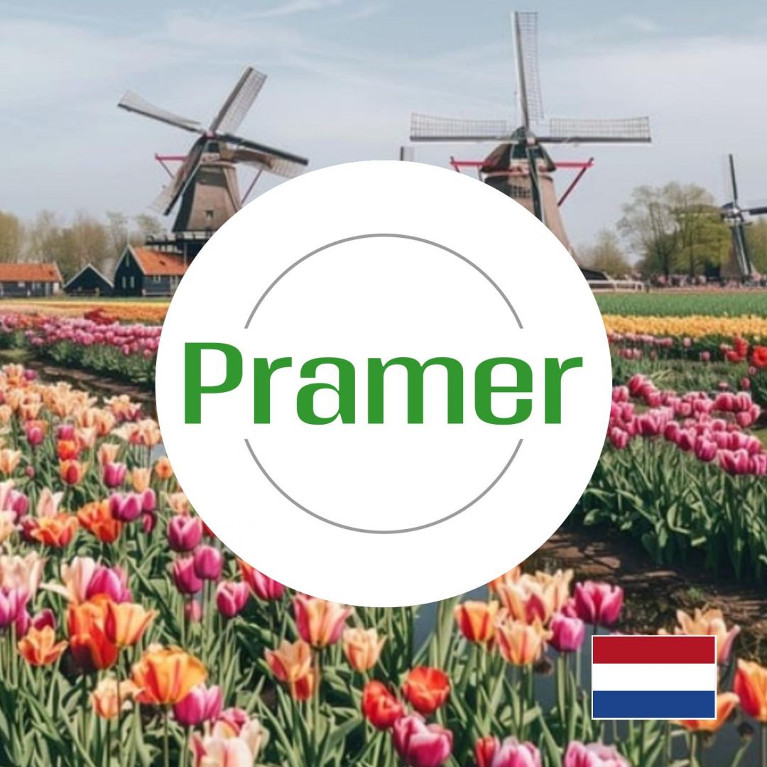 Order - picker / magazynier  - wysokie tygodniówki - praca w Holandii  - Zdjęcie 1