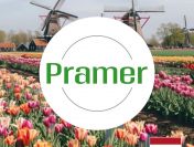 Order - picker / magazynier  - wysokie tygodniówki - praca w Holandii