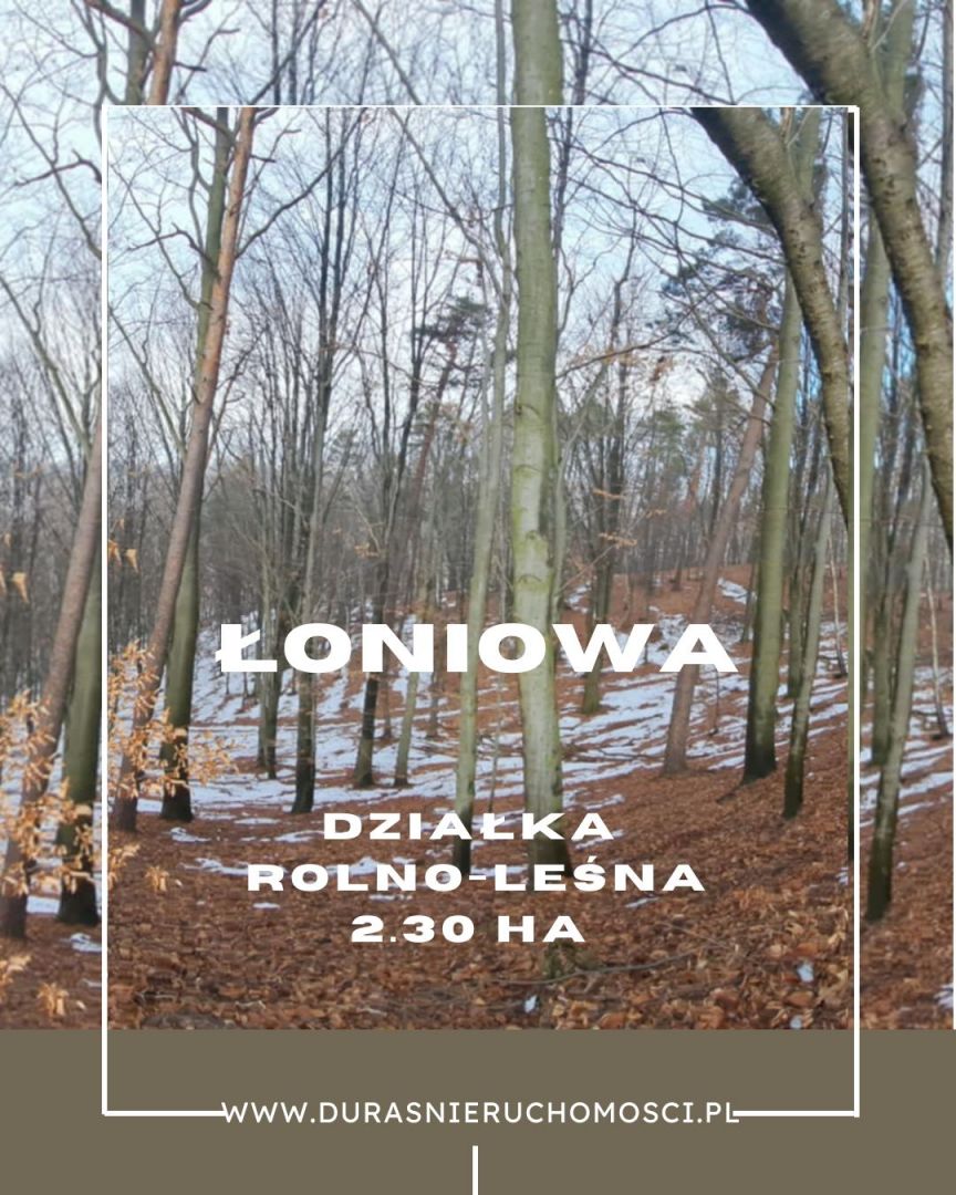 Łoniowa działka rolno-leśna 2,30 ha Łoniowa - Zdjęcie 1