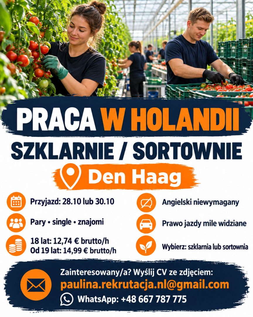 Praca w Holandii – szklarnie i sortownie – dla par i singli  - Zdjęcie 1