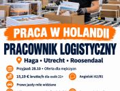 Pracownik logistyczny – magazyny w Holandii – przyjazd 28.10