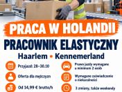 Pracownik elastyczny – Haarlem, Holandia – przyjazd 28–30.10