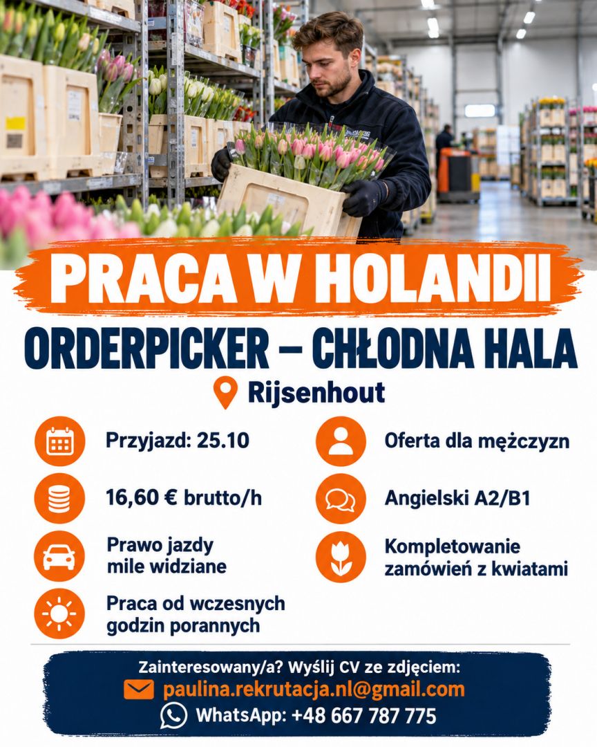 Orderpicker – kwiaty na chłodnej hali – Holandia – 16,60 EUR/h  - Zdjęcie 1