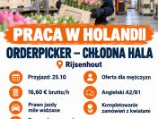 Orderpicker – kwiaty na chłodnej hali – Holandia – 16,60 EUR/h