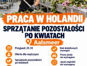 Sprzątanie pozostałości po kwiatach – Holandia – bez wymagań