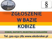 Raporty do kobize, przygotowanie opłat środowiskowych, złożenie raportu kobize