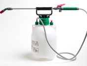 Deratyzacja, dezynsekcja, usługi DDD - Kraków i okolice