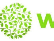 Dobry Copywriting Online FOODWEB.pl